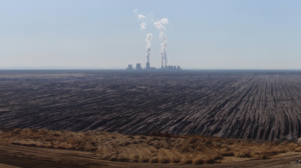 Beitragblühendelandschaften