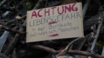 Beitragdanni
