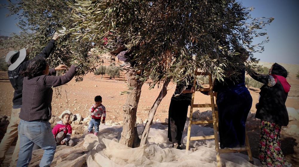 Ziviler Mut unter Beschuss